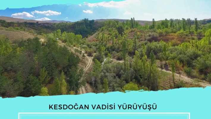 Kesdoğan Vadisine Çıkıyoruz